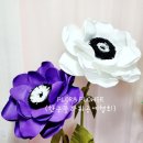 플로라플라워(FLORAFLOWER) 이미지