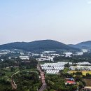 토산초교 1 이미지