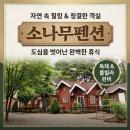 청천나들이 | 14개월 아기랑 충북 괴산 화양계곡 다녀온 후기 [소나무쉼터 숙소 + 괴산맛집 덕수궁]