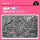 의령 서동리 함안층 빗방울 자국 | 빗방울 자국💦 자연유산이 될 수 있다고?