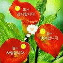 자연사랑펜션