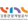 강릉어린이수영교실 이미지