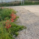 서암리농장 이미지