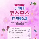 코스모스길14번길 이미지