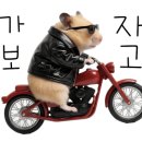 원더풀보쌈