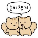 슬리핑포레스트 이미지