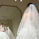 기다리다 | 다음 후기 기다리다 못 참고 직접 쓰는 드메리 셀렉 후기