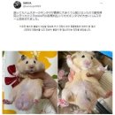 이동물병원 이미지