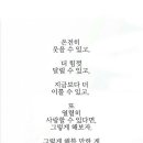 마이드