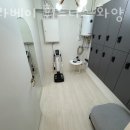 필라베이휘트니스