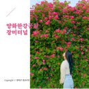 미니스톱 한강양화2점 이미지