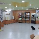 패밀리독 이미지