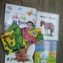 홍진농장 이미지