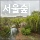 서울숲 생태숲 화장실 | 서울숲 생태숲 꽃사슴 방사장 방문 후기