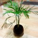 야자클럽 이미지