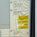 동수원우체국 앞 | 최초의 장미는 바로 이 근방에서, 동아시아에서 피어났다.