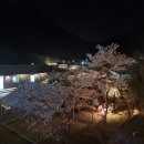 구천계곡야영장 이미지