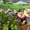 로얄튼너싱홈 이미지