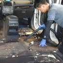 지엔지카 이미지