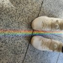 우리집 한우 이미지