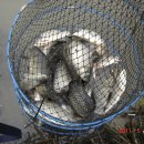 어천낚시터 이미지