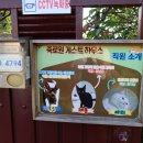 죽로원게스트하우스 이미지