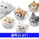 멍냥이 스토리 이미지