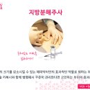 해피365 이미지