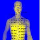임맥(석문혈) : 비뇨생식기질환.솨화불량.맹장염.장간막.신경통 이미지