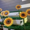 영덕 신재생에너지전시관 이미지