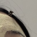 우시장천 | [09] 뜨거운 여름 밤은 가고