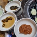 강쇠네흑돼지 이미지