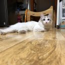 세류초등학교 이미지