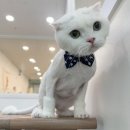 포리네 민박 이미지