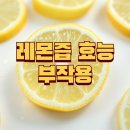 레몬즙 효능 알고 먹자!