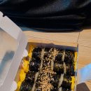 동새벽김밥 | 기장 롯데월드 근처 아침 식사, 6시 오픈하는 생방송김밥 동부산오시리아 본점 포장 후기