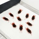 토파즈 - 안양시 동안구 엘에스로 45 | 토파즈
