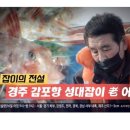 싱싱회타운 이미지