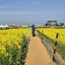 호미곶경관영농조합법인 이미지