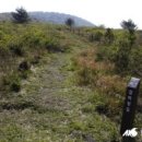 제주하늘바람 이미지