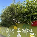 김부자댁 둘째딸 | [담양 펜션] 김부자댁 둘째딸: 진짜 독채 애션펜션
