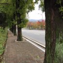 산책... 여수 호랑산