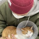 반곡동 작은동물병원 이미지