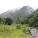 횡성 산울림오토캠핑장 이미지