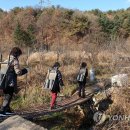 정족2리 이미지