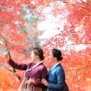 지금 뜨는 한국전통문화 (한복, 문화콘텐츠, 해외반응)