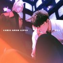 (주)시스 이미지