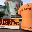 서래국시가 | 이도저도아닌 광주fc 팬이 되