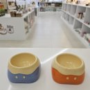 패러그린샵 명지점 이미지