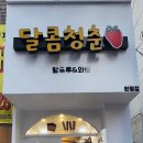 달콤청춘 이미지